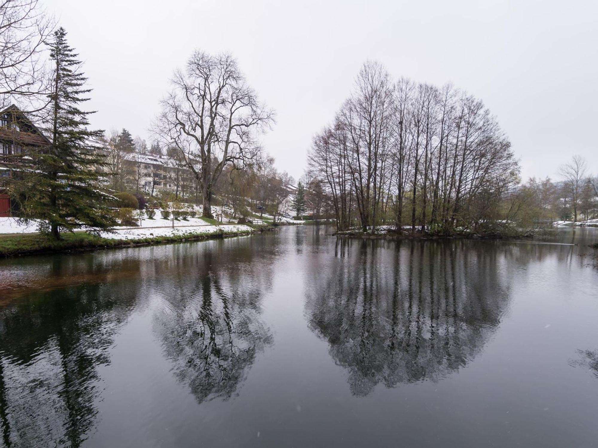 Unterkirnach Ferienwohnungen Seeblick מראה חיצוני תמונה
