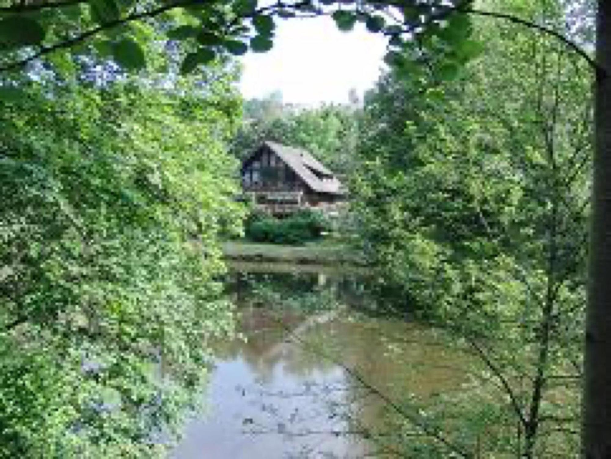 Unterkirnach Ferienwohnungen Seeblick מראה חיצוני תמונה