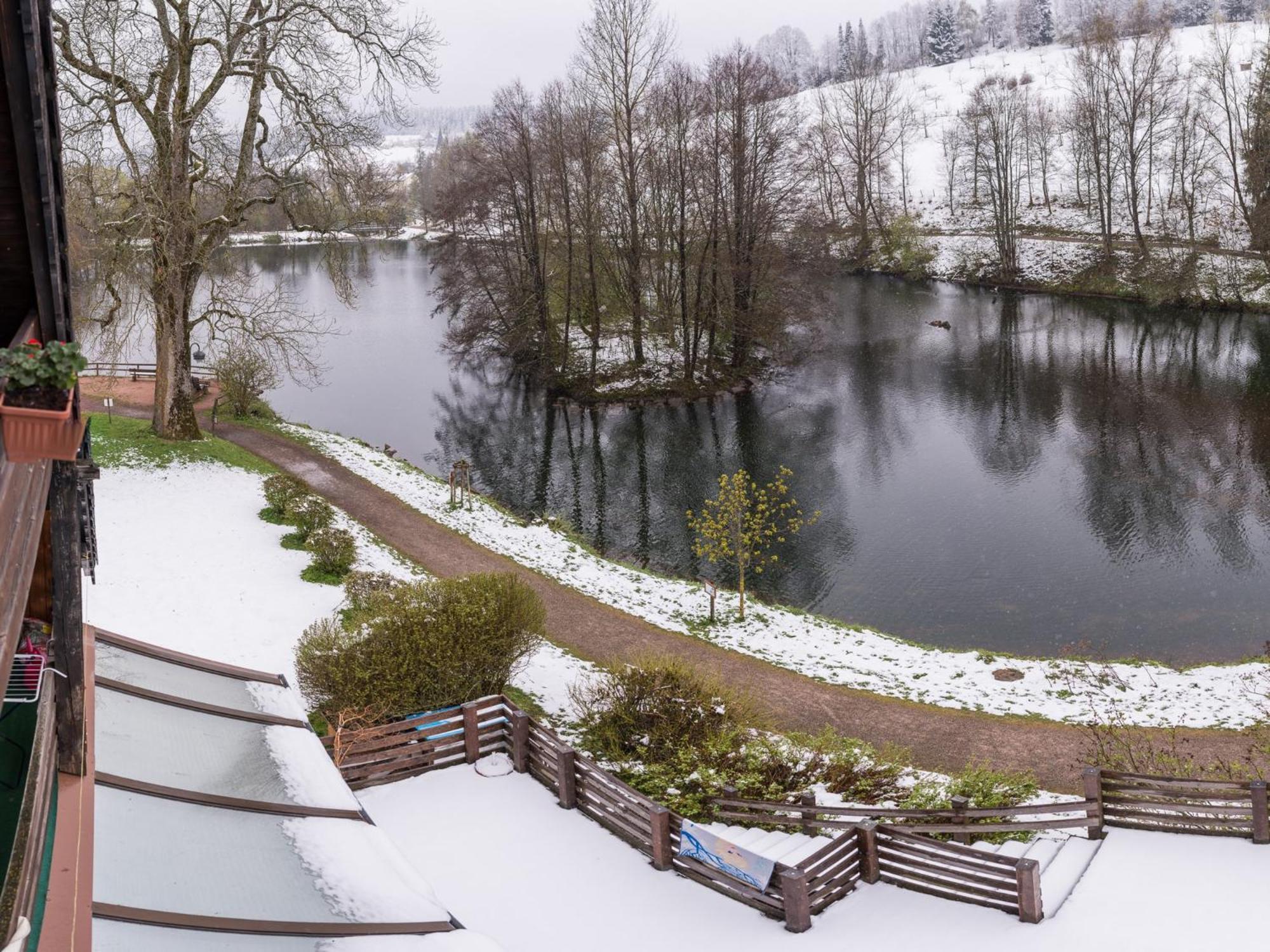 Unterkirnach Ferienwohnungen Seeblick מראה חיצוני תמונה